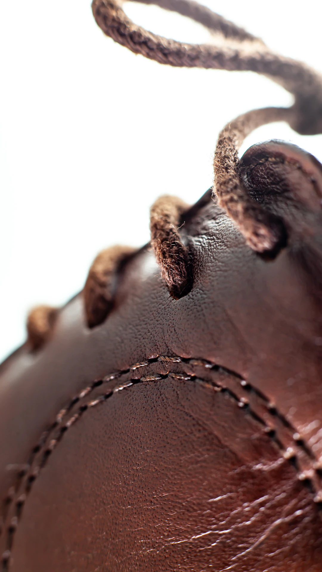 a close up of a tree branch