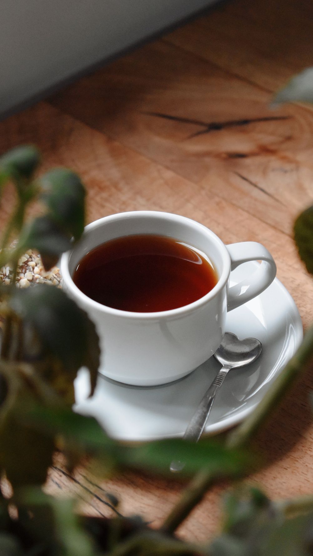 A comforting scene with a cup of tea amidst greenery on a wooden table.